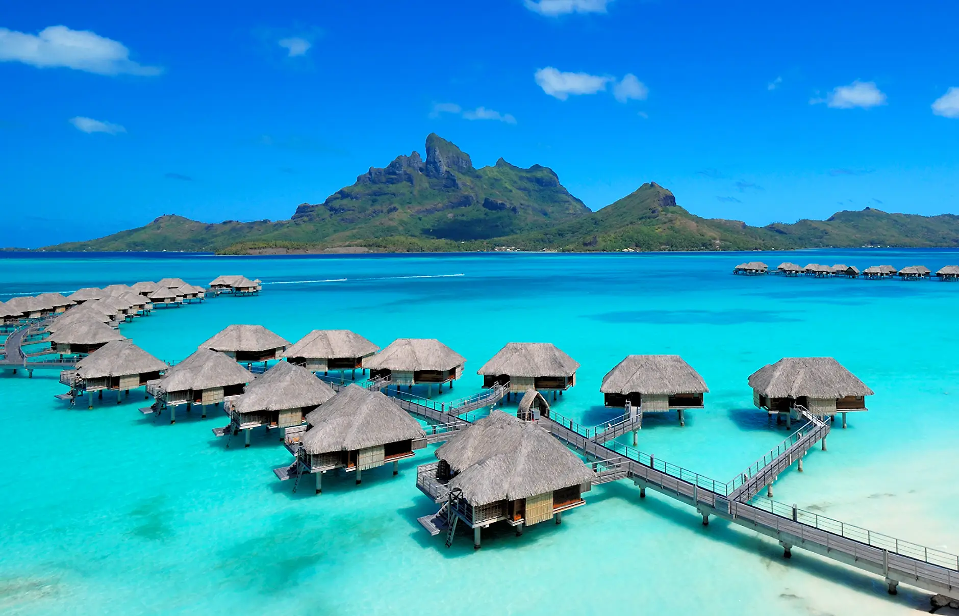 Home Page - TravelVIP bor 100